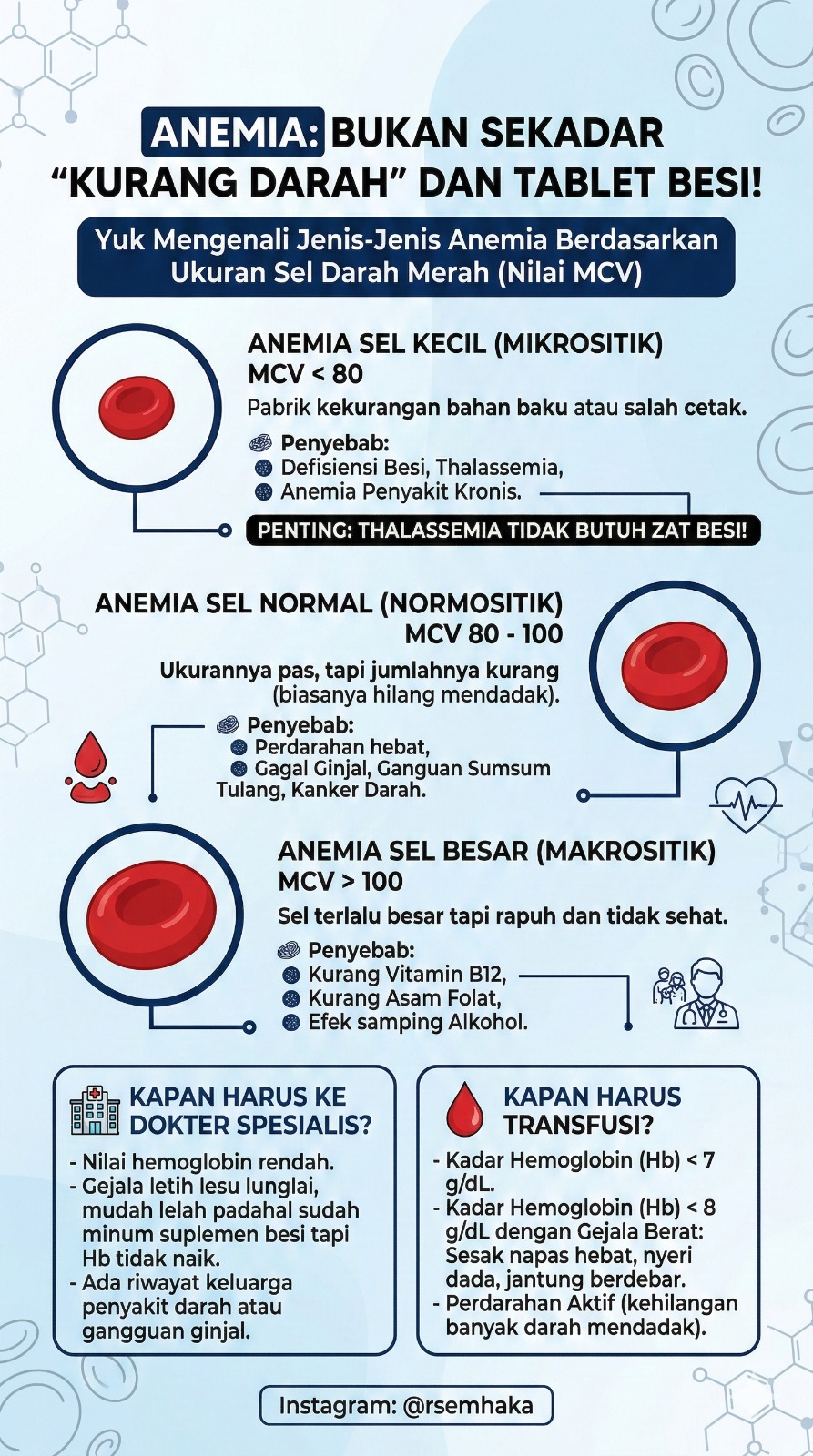 ✨Anemia : BUKAN SEKADAR 